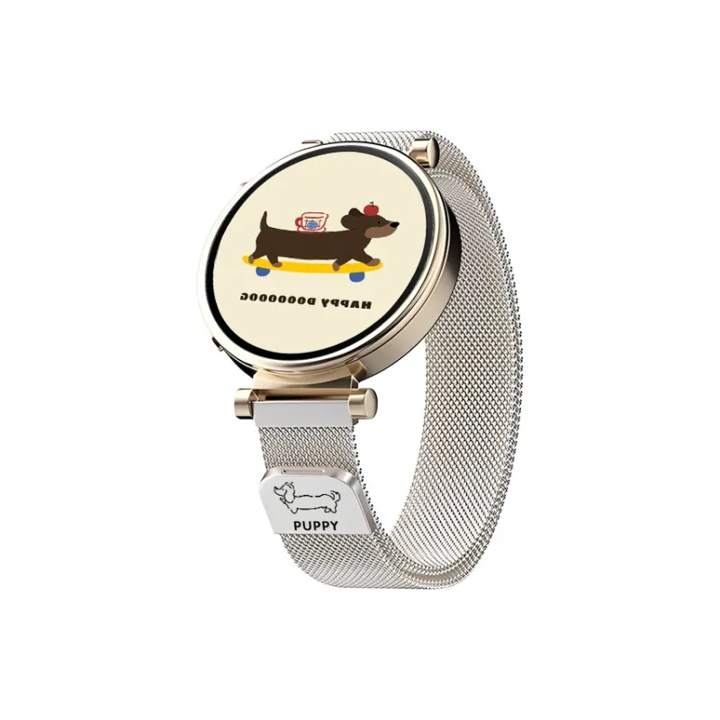 Watchbond Huawei Compatibility Watch Band Metal-0