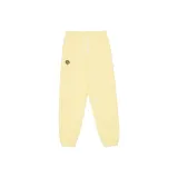 Yellow Iris E1PAW658