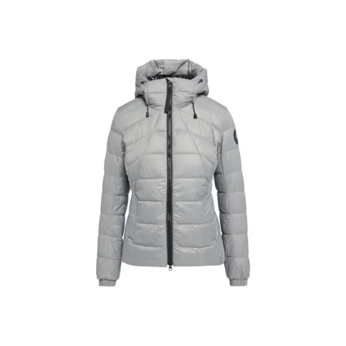 Canada Goose Abbott Collection Black Logo Down Jacket Women's Willow Gray