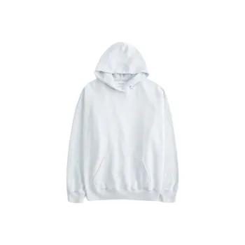 Hollister Sweatshirt Women's Light Blue