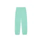 Ice Green