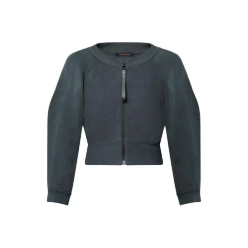 LOUIS VUITTON SS25 Knitwear Women's Gray Green
