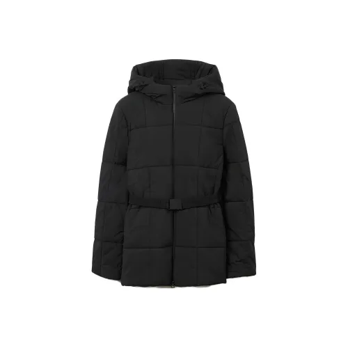 Burberry Long sleeve Padded Jacket