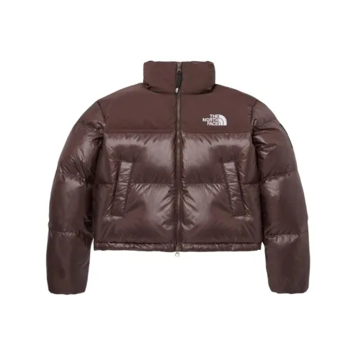 THE NORTH FACE Women's Novelty Nuptse Rds Down Jacket Cocoa Brown