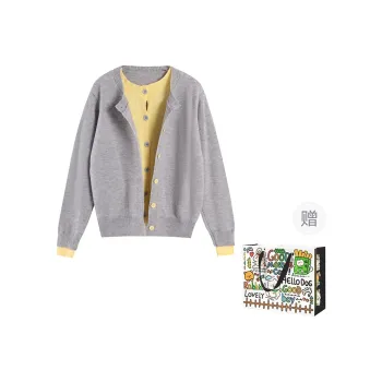 Dippanis Knitwear Women's Gray