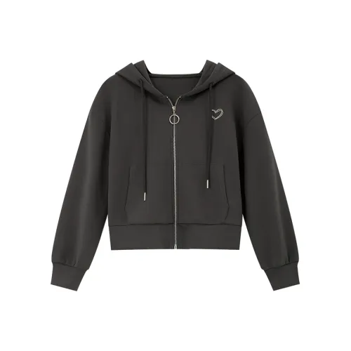 VIMLY Cropped Coat Women's Iron Gray