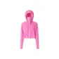 Fuchsia 1284