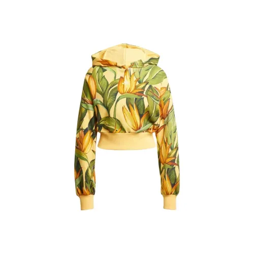 Adidas Free Shipping With AdiClub Adidas X Farm Hoodie