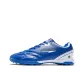 Royal Blue Turf