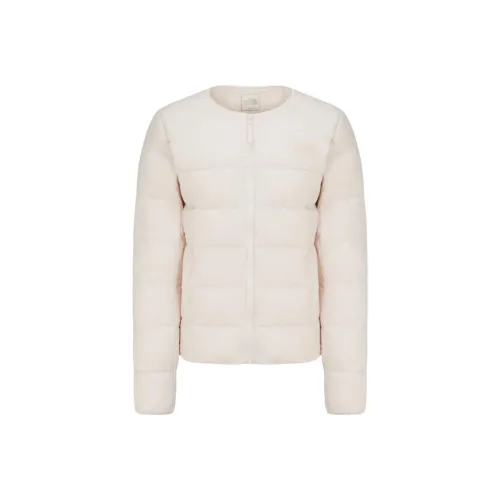 THE NORTH FACE Down Jacket Women's dark Pink