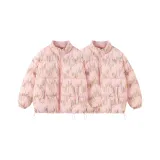 2 Pack (Pink+Pink)