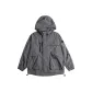 Meteorite Gray