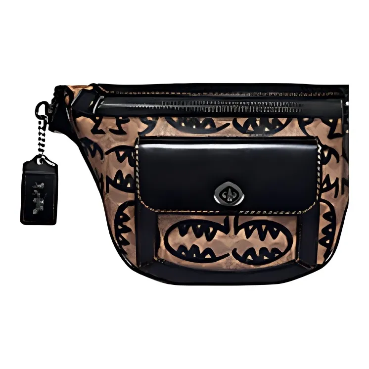 COACH Riley Fanny Packs-3