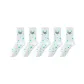5 Pack White