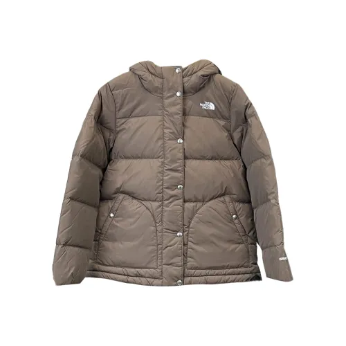 THE NORTH FACE City Outdoor Collection Down Jacket Women's Smoky Brown