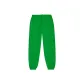 Parrot Green