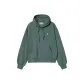 Silver Pine Green