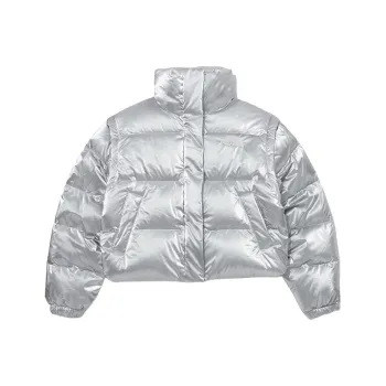 THE NORTH FACE W's Glossy Dt Down Jacket Down Jackets & Coats Women's Silver