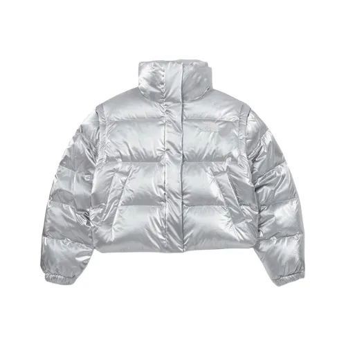 THE NORTH FACE W's Glossy Dt Down Jacket Down Jackets & Coats Women's Silver