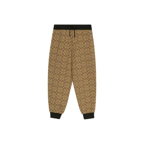 COACH Casual Pants Women's Brown