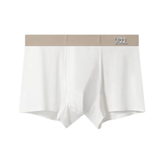LUYOUYE Underpants Men's 1 Pack-10