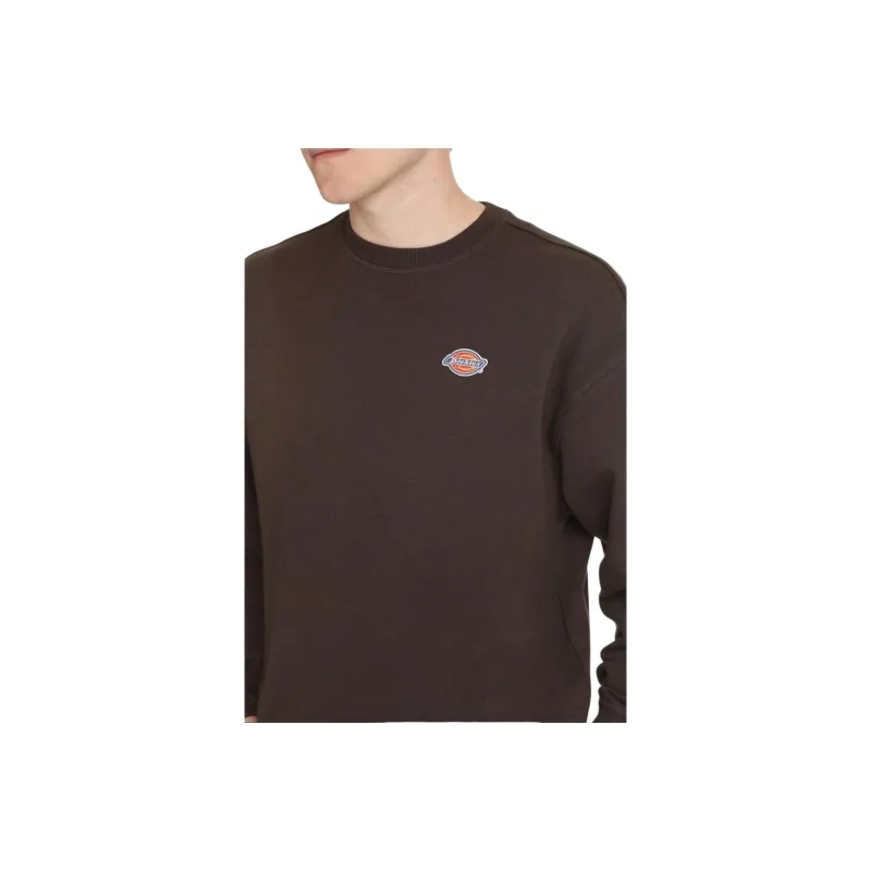 Dickies Sweaters Men Brown-4