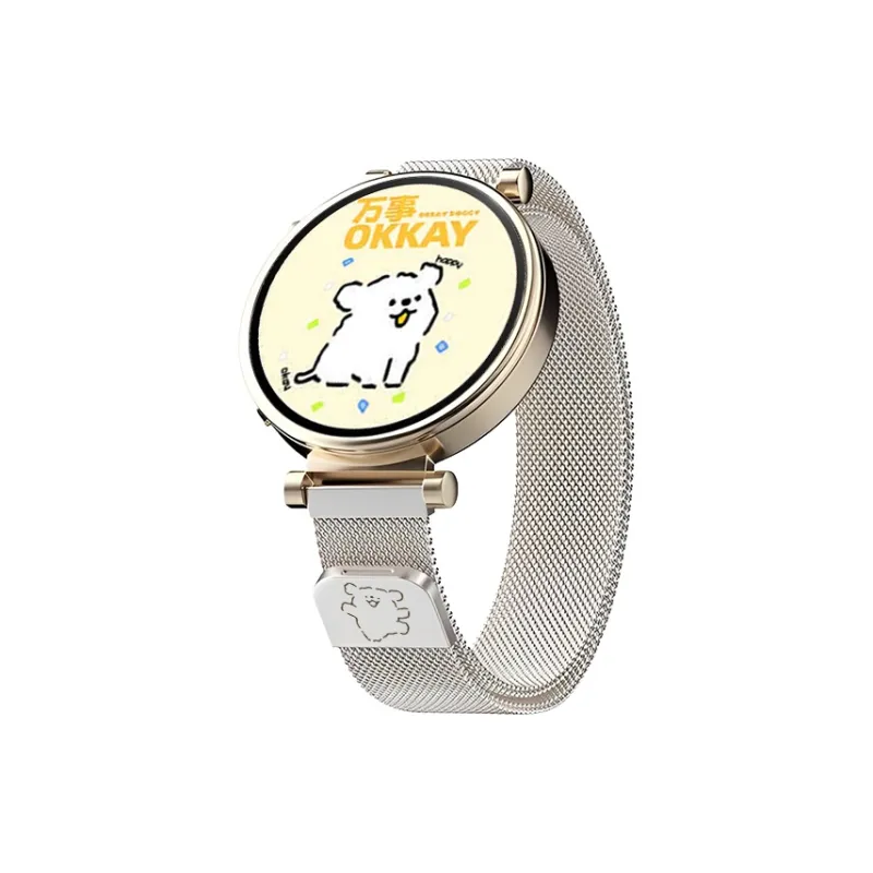 Watchbond Huawei Compatibility Watch Band Metal-15