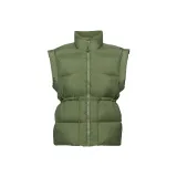 Olive Green Olive Green