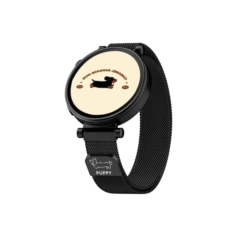 Watchbond Huawei Compatibility Watch Band Metal-6