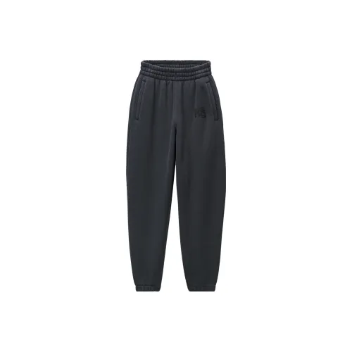 Alexander Wang Puff Paint Logo Essential Terry Classic Sweatpant Soft Obsidian