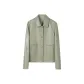 Gray Pea Green