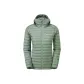 Eucalyptus Green