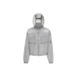 Silver Gray 8025