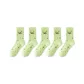 5-Pack Green