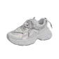 Silver Gray