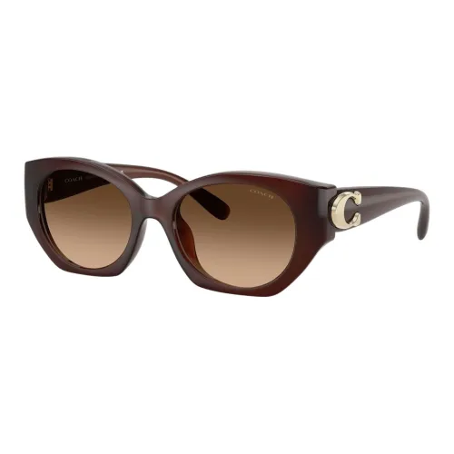 COACH Injection Molded Cat Eye Sunglasses Unisex Brown