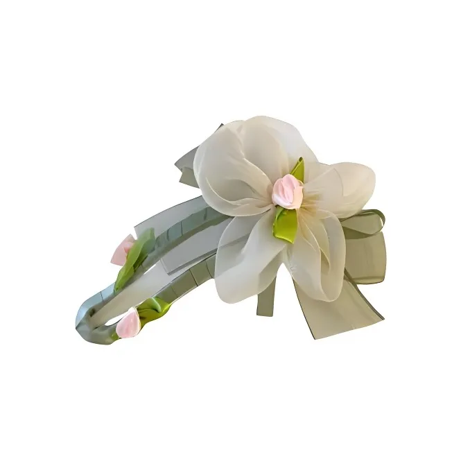 Danqin Acrylic Hair Clips Women's-0