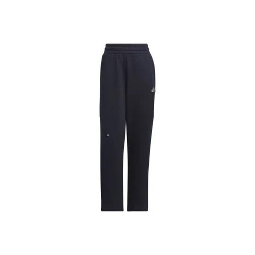 Adidas FW24 Casual Pants Women's Legend Ink/Metallic Silver