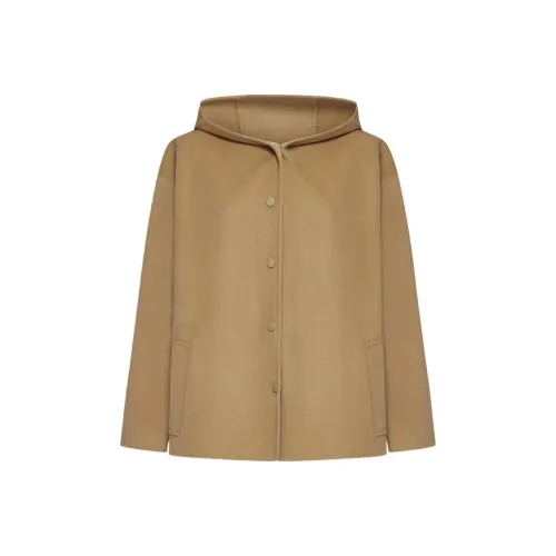 WEEKEND MaxMara Buttoned Long Sleeved Coat