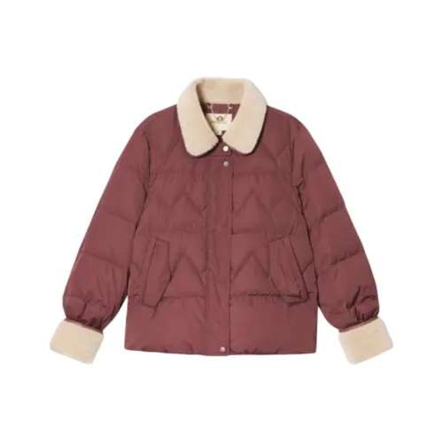PSALTER Down Jackets Women's