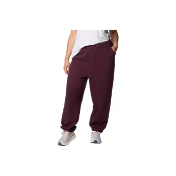 Columbia Women's Columbia Trek™ Sweatpants - Plus Size Casual Pants Women's Red Brown