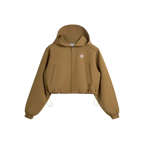 CALLED BACK Cropped Coats Women's Brown