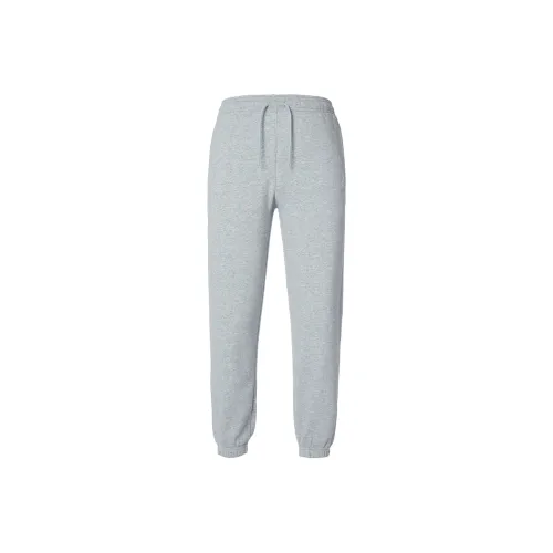 jordan crew Casual Pants Women's Dark Gray
