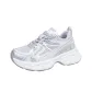 Silver Gray