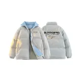 Light Gray