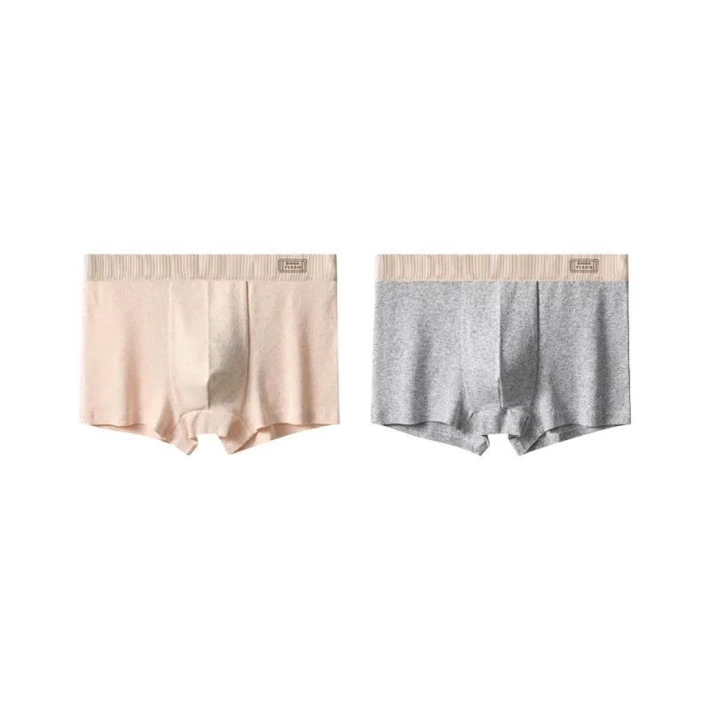 PLANDOO Underpants Men's 2 Pack-6