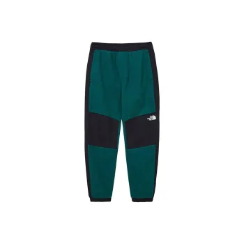 THE NORTH FACE MADERA Casual Pants Women's Green