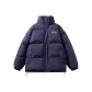 Aurora Purple