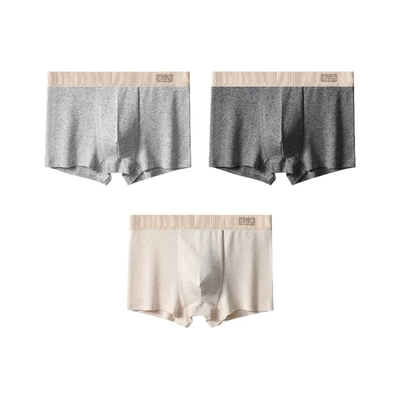 PLANDOO Underpants Men's 3 Pack-3