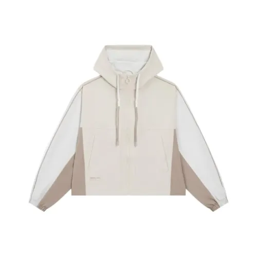 XTEP Sweatshirt Women's Ridge Gray/Misty Light Gray/Rain Soaked Brown